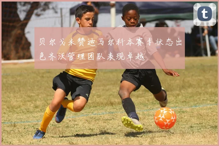 贝尔戈米赞迪马尔科本赛季状态出色齐沃管理团队表现卓越