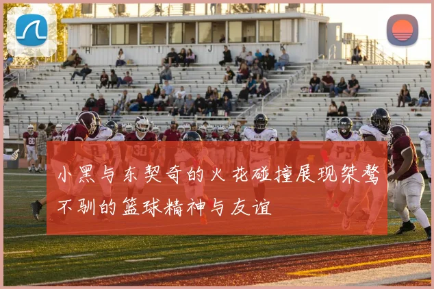 小黑与东契奇的火花碰撞展现桀骜不驯的篮球精神与友谊