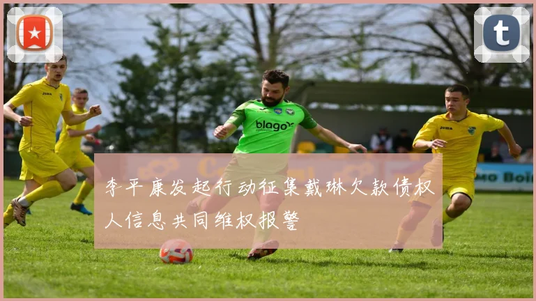 李平康发起行动征集戴琳欠款债权人信息共同维权报警